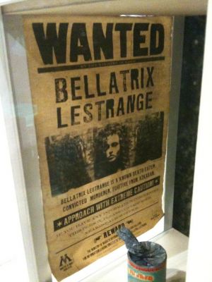 Cliquez pour voir l'image en taille relle